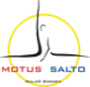 Motus Salto